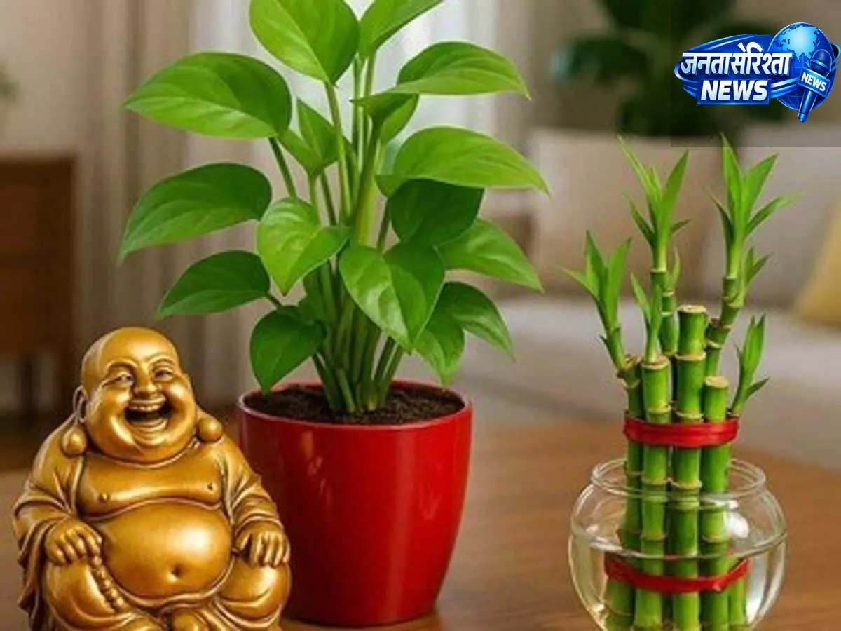 वास्तु और फेंगशुई के अनुसार सकारात्मक ऊर्जा बढ़ाने के आसान उपाय वास्तु और फेंगशुई के अनुसार सकारात्मक ऊर्जा बढ़ाने के आसान उपाय
