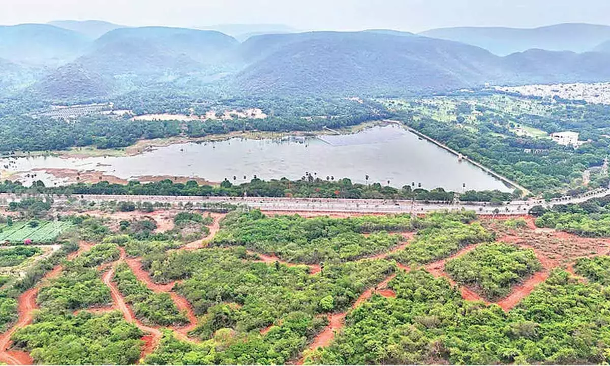 Andhra: विज़ाग हाइपरस्केल डेटा सेंटर को मिली ग्रीन मंज़ूरी को सस्पेंड करने के लिए HRF