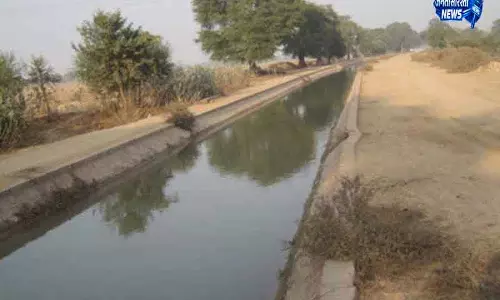 Punjab: बारिश से नहरों में 35 जगह कटाव