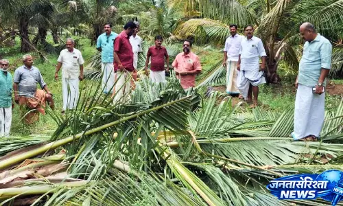 Kerala : जंगल की आग से कई पंचायतों में तबाही