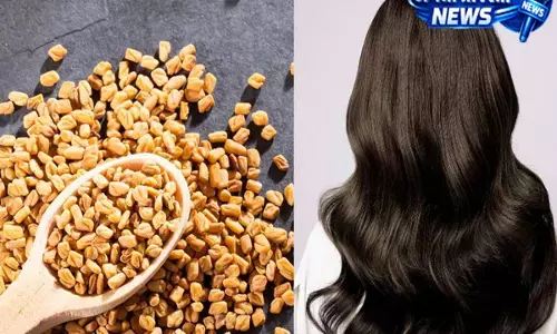 बालों की ग्रोथ के लिए मेथी का हेयर केयर में इस्तेमाल बालों की ग्रोथ के लिए मेथी का हेयर केयर में इस्तेमाल