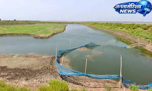 Telangana : सिंगुर रिज़र्वॉयर में अवैध गतिविधियों से पेयजल सुरक्षा पर सवाल Telangana : सिंगुर रिज़र्वॉयर में अवैध गतिविधियों से पेयजल सुरक्षा पर सवाल