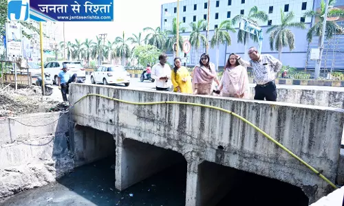 मेयर मीनल चौबे ने पंडरी कपड़ा बाजार की सफाई व्यवस्था देखी