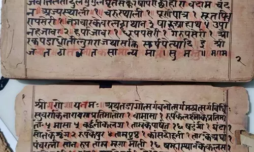 कबीरधाम में मिला इतिहास का अनमोल खजाना कबीरधाम में मिला इतिहास का अनमोल खजाना