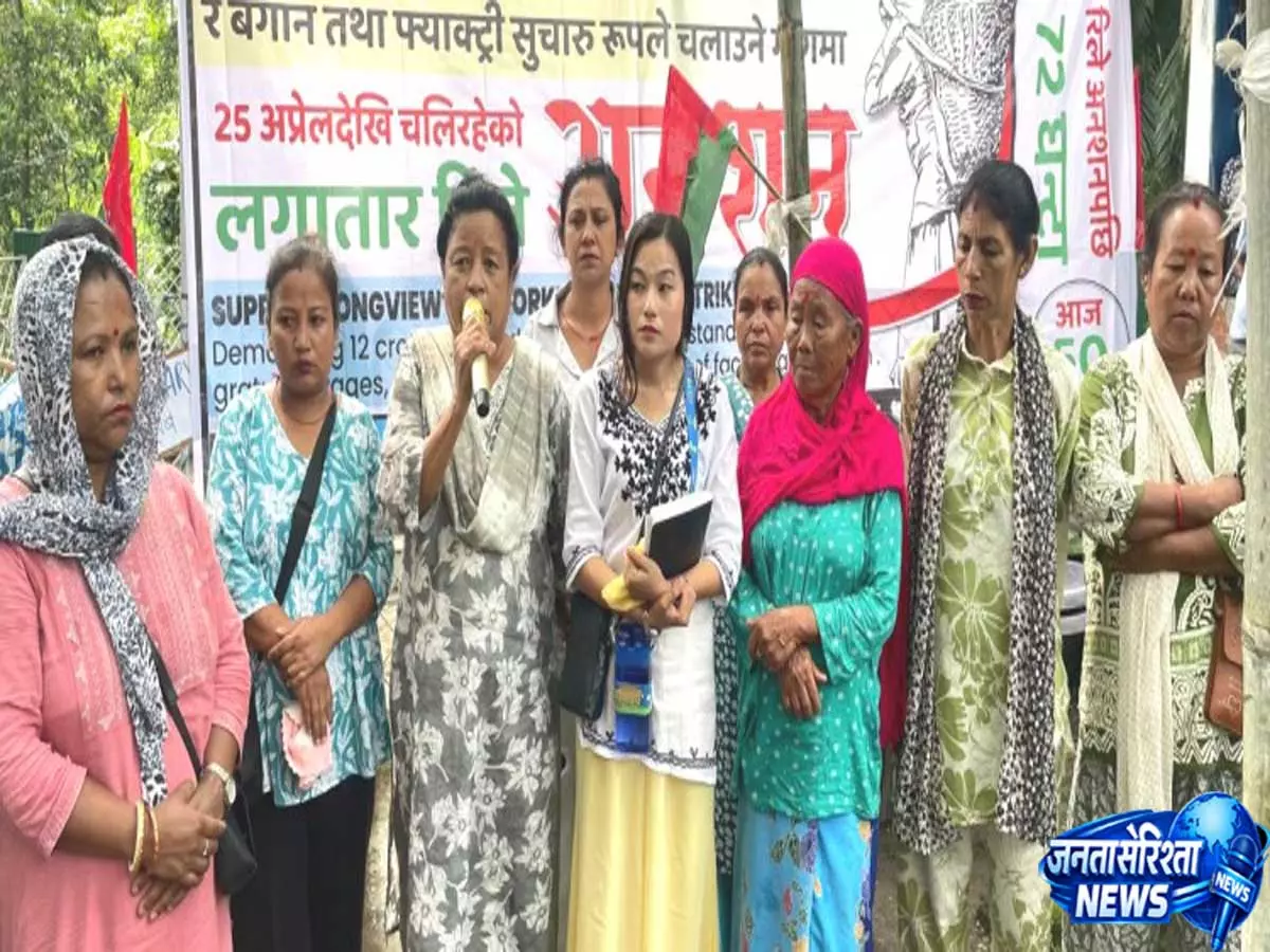 लॉन्गव्यू चाय बागान के मज़दूरों ने 72 घंटे की भूख हड़ताल का किया ऐलान लॉन्गव्यू चाय बागान के मज़दूरों ने 72 घंटे की भूख हड़ताल का किया ऐलान