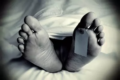 सबरीमाला गोल्ड स्कैम के आरोपी मुरारी बाबू का निधन, अस्पताल में ली आखिरी सांस सबरीमाला गोल्ड स्कैम के आरोपी मुरारी बाबू का निधन, अस्पताल में ली आखिरी सांस