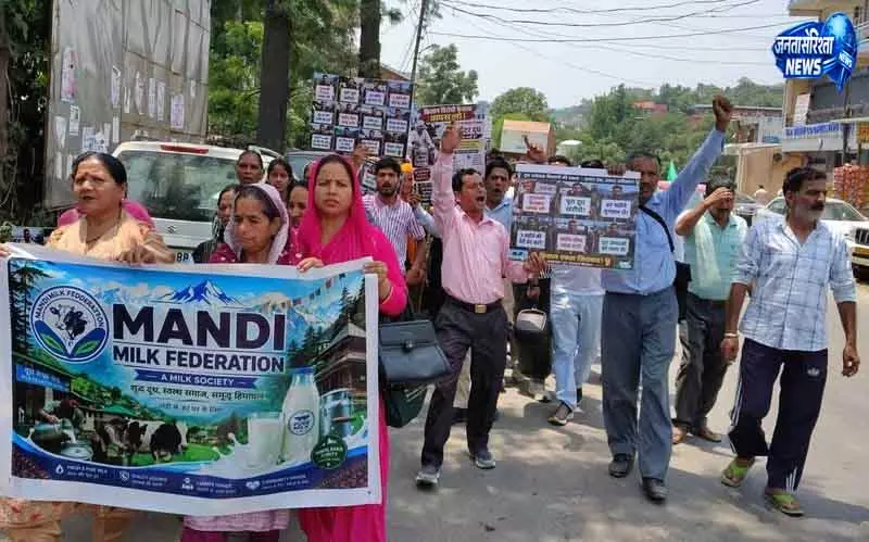 Mandi: डेयरी किसानों का खरीद सीमा पर विरोध Mandi: डेयरी किसानों का खरीद सीमा पर विरोध