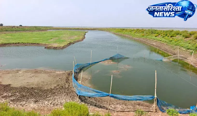 Telangana : सिंगुर रिज़र्वॉयर में अवैध गतिविधियों से पेयजल सुरक्षा पर सवाल Telangana : सिंगुर रिज़र्वॉयर में अवैध गतिविधियों से पेयजल सुरक्षा पर सवाल