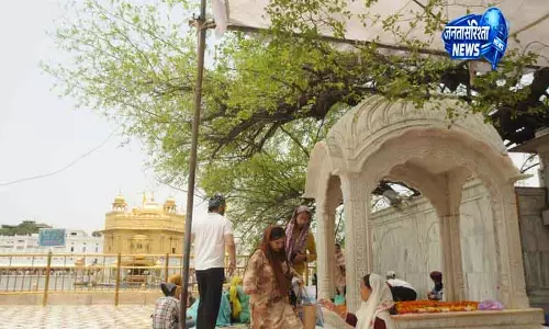 Amritsar गोल्डन टेम्पल में बेरी के पुराने पेड़ को नुकसान