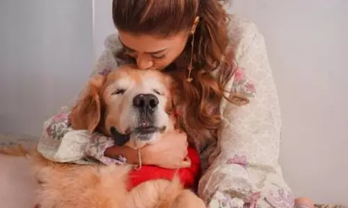 खालीपन अब बर्दाश्त नहीं होता, ब्रूनो के जाने से टूटीं अभिनेत्री टीना दत्ता खालीपन अब बर्दाश्त नहीं होता, ब्रूनो के जाने से टूटीं अभिनेत्री टीना दत्ता