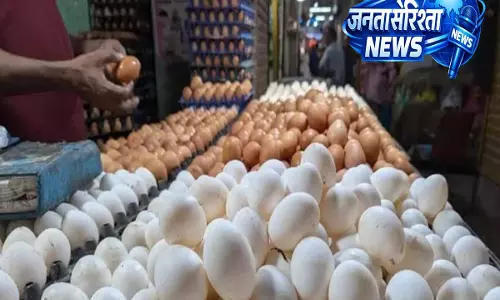 भारत की Egg सिटी को लेकर आई ताज़ा रिपोर्ट, वैश्विक रिकॉर्ड तोड़ता नजर आ रहा भारत की Egg सिटी को लेकर आई ताज़ा रिपोर्ट, वैश्विक रिकॉर्ड तोड़ता नजर आ रहा