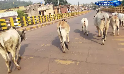 Jharkhand:पश्चिमी सिंहभूम में सड़क सुरक्षा पर सवाल Jharkhand:पश्चिमी सिंहभूम में सड़क सुरक्षा पर सवाल