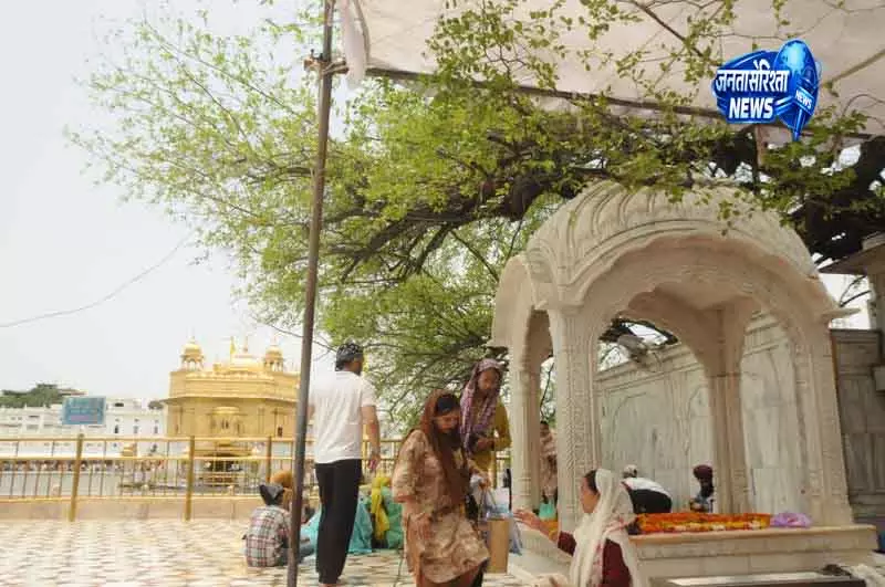Amritsar गोल्डन टेम्पल में बेरी के पुराने पेड़ को नुकसान Amritsar गोल्डन टेम्पल में बेरी के पुराने पेड़ को नुकसान