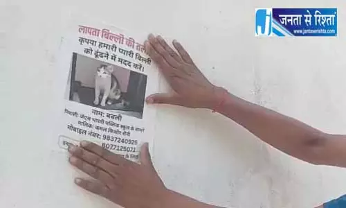 बिल्ली लापता होने से परिवार परेशान, 5 हजार ईनाम भी रखा, ढूंढने की अपील बिल्ली लापता होने से परिवार परेशान, 5 हजार ईनाम भी रखा, ढूंढने की अपील