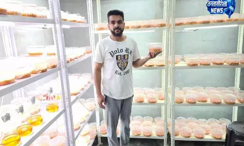 Barnala किसान की दुर्लभ खेती से कमाई Barnala किसान की दुर्लभ खेती से कमाई