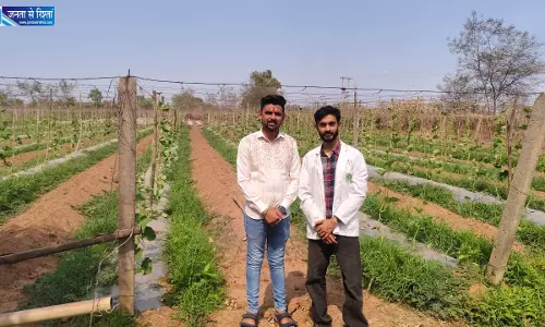 कम लागत में 5 एकड़ खेत में आधुनिक विधि से अच्छी आय