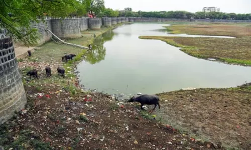 भीषण गर्मी के बीच महाराष्ट्र पर गंभीर सूखे का खतरा : शिवसेना (यूबीटी)