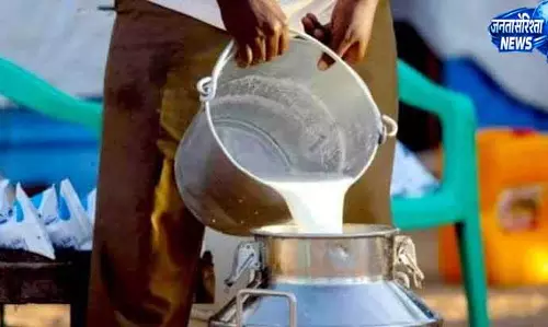 Shimla HP Milkfed ने 20 लीटर सीमा का बचाव किया Shimla HP Milkfed ने 20 लीटर सीमा का बचाव किया