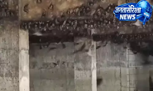 Kerala : नींदूर में चमगादड़ों का बड़ा जमावड़ा, खाली इमारत की पार्किंग बना बसेरा