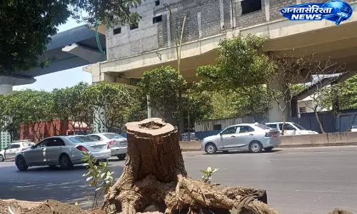 Thane में पारिस्थितिक असंतुलन की चेतावनी, तेजी से विकास से हरियाली पर दबाव बढ़ा Thane में पारिस्थितिक असंतुलन की चेतावनी, तेजी से विकास से हरियाली पर दबाव बढ़ा