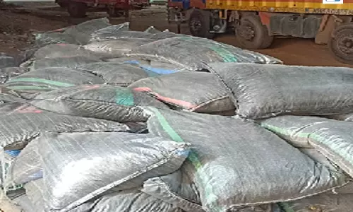 नशे के खिलाफ बड़ी कार्रवाई, 2 टन से ज्यादा डोडा चूरा जब्त नशे के खिलाफ बड़ी कार्रवाई, 2 टन से ज्यादा डोडा चूरा जब्त