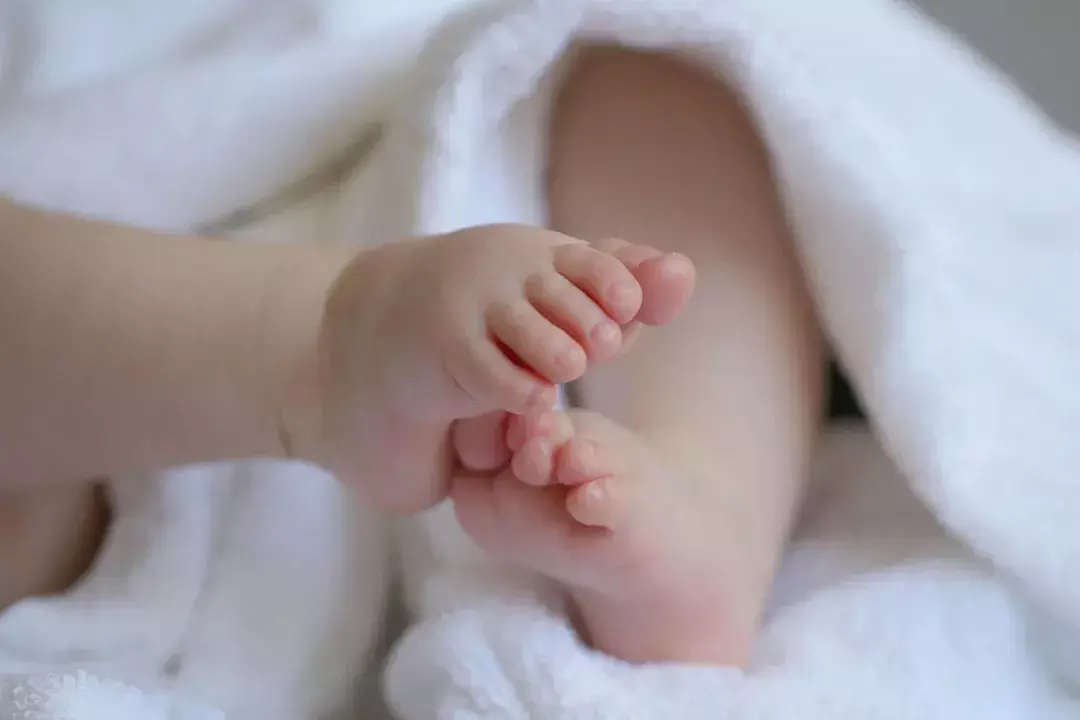 Koraput में केले के बाग में मिला लावारिस नवजात, पुलिस ने सुरक्षित अस्पताल पहुंचाया Koraput में केले के बाग में मिला लावारिस नवजात, पुलिस ने सुरक्षित अस्पताल पहुंचाया