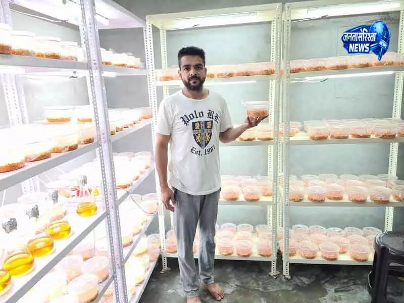 Barnala किसान की दुर्लभ खेती से कमाई Barnala किसान की दुर्लभ खेती से कमाई