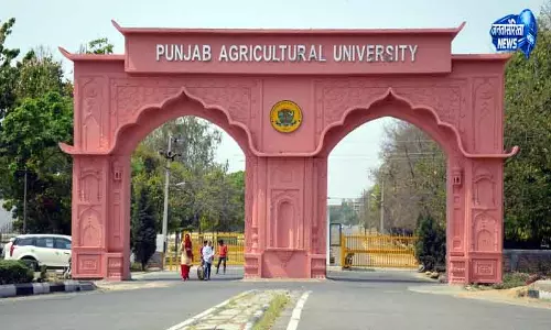 Ludhiana देशभर में दूसरे स्थान पर पहुंचा कृषि विश्वविद्यालय Ludhiana देशभर में दूसरे स्थान पर पहुंचा कृषि विश्वविद्यालय