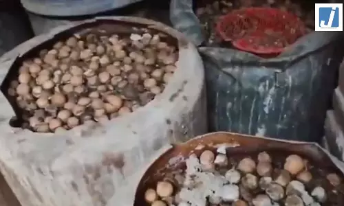तबेले में अचार फैक्ट्री, 3400 KG माल जब्त, देखें नजारा तबेले में अचार फैक्ट्री, 3400 KG माल जब्त, देखें नजारा