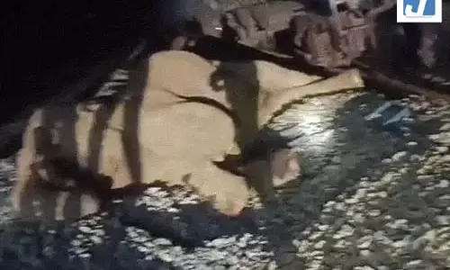 मालगाड़ी की चपेट में आया हाथी, पैर में लगी गंभीर चोट, देखें VIDEO मालगाड़ी की चपेट में आया हाथी, पैर में लगी गंभीर चोट, देखें VIDEO