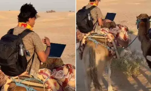सहारा रेगिस्तान में ऊंट पर ‘वर्क फ्रॉम होम’ वायरल सहारा रेगिस्तान में ऊंट पर ‘वर्क फ्रॉम होम’ वायरल