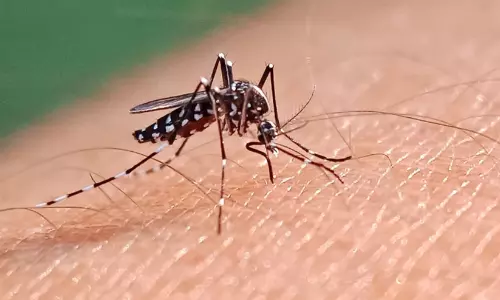 Kerala : अट्टाप्पडी में डेंगू के बढ़ते मामले, 40 दिनों में 24 संक्रमित Kerala : अट्टाप्पडी में डेंगू के बढ़ते मामले, 40 दिनों में 24 संक्रमित
