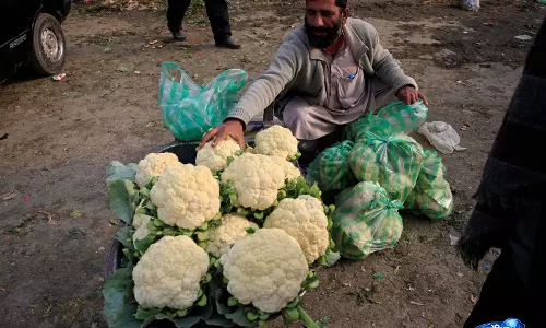 Sindh के कृषि नेताओं ने खेती-बाड़ी के क्षेत्र को नज़रअंदाज़ करने के लिए पाकिस्तान के बजट की आलोचना की Sindh के कृषि नेताओं ने खेती-बाड़ी के क्षेत्र को नज़रअंदाज़ करने के लिए पाकिस्तान के बजट की आलोचना की