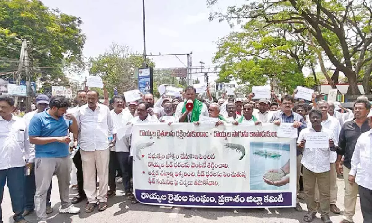 Andhra: झींगा फ़ीड की कीमतें घटाने की मांग Andhra: झींगा फ़ीड की कीमतें घटाने की मांग