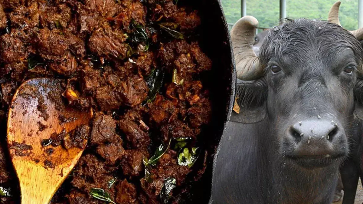 Kerala में मवेशियों की कमी से बीफ की कीमतों में बढ़ोतरी Kerala में मवेशियों की कमी से बीफ की कीमतों में बढ़ोतरी