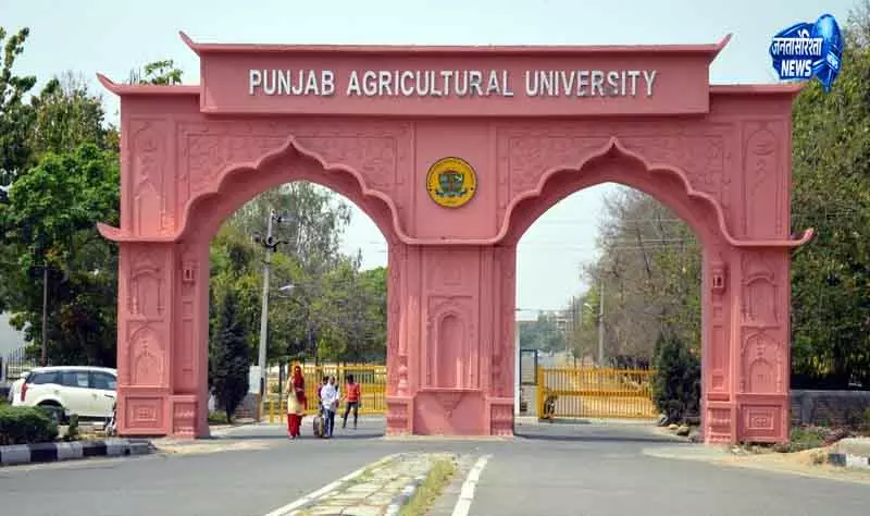 Ludhiana देशभर में दूसरे स्थान पर पहुंचा कृषि विश्वविद्यालय Ludhiana देशभर में दूसरे स्थान पर पहुंचा कृषि विश्वविद्यालय