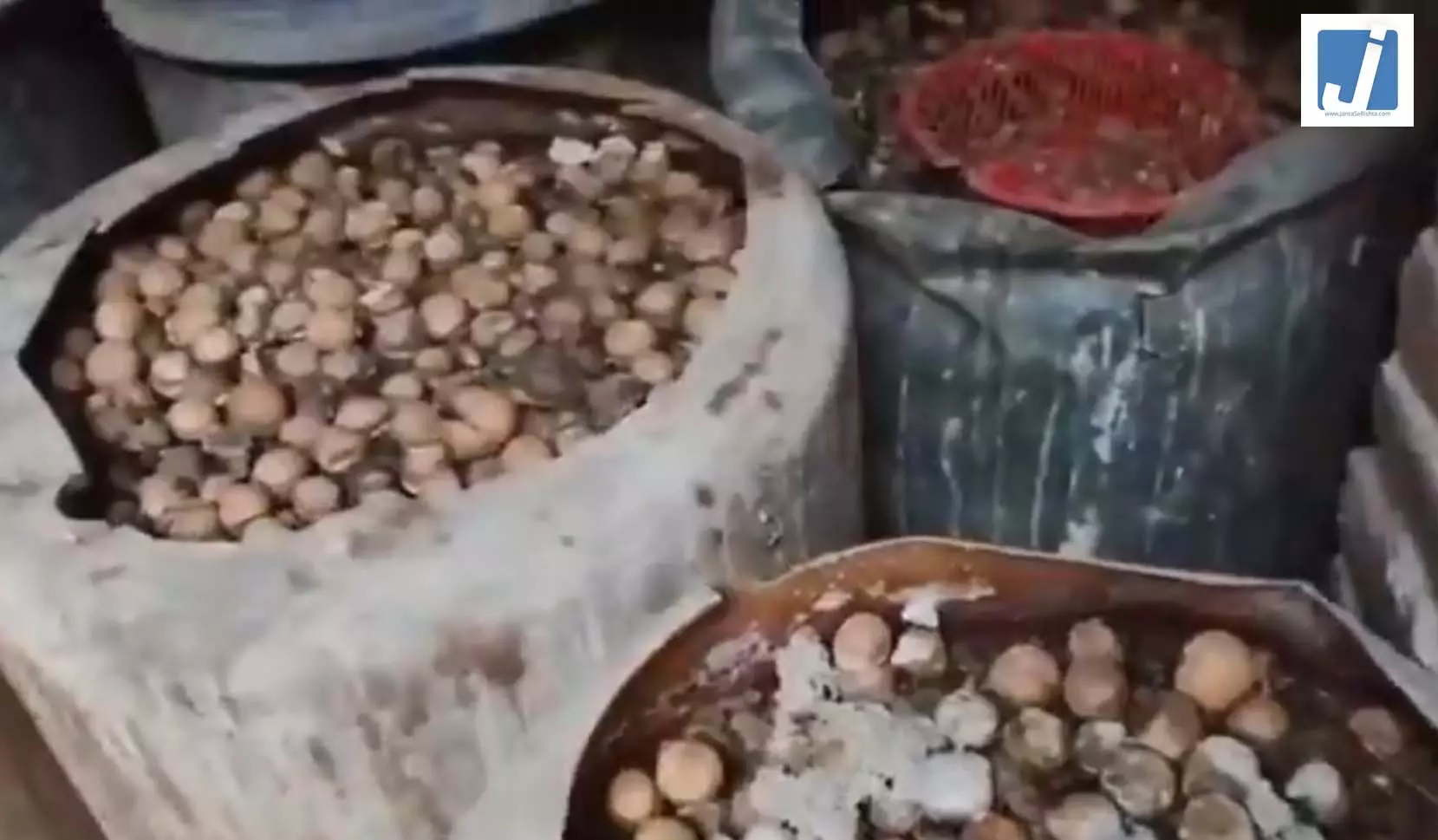 तबेले में अचार फैक्ट्री, 3400 KG माल जब्त, देखें नजारा तबेले में अचार फैक्ट्री, 3400 KG माल जब्त, देखें नजारा