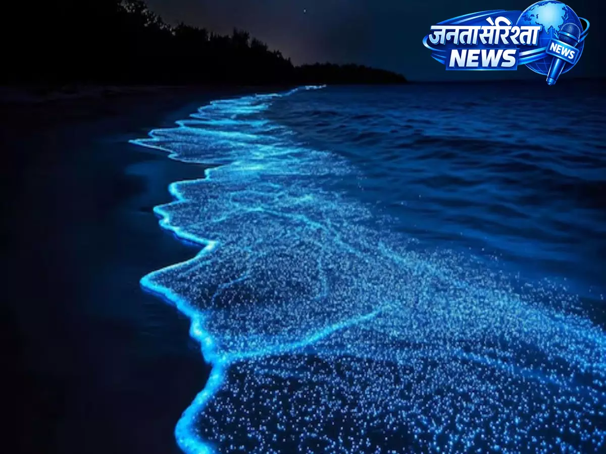 समंदर की चमक का वैज्ञानिक राज, बायोलुमिनेसेंस से होता है अद्भुत नजारा समंदर की चमक का वैज्ञानिक राज, बायोलुमिनेसेंस से होता है अद्भुत नजारा
