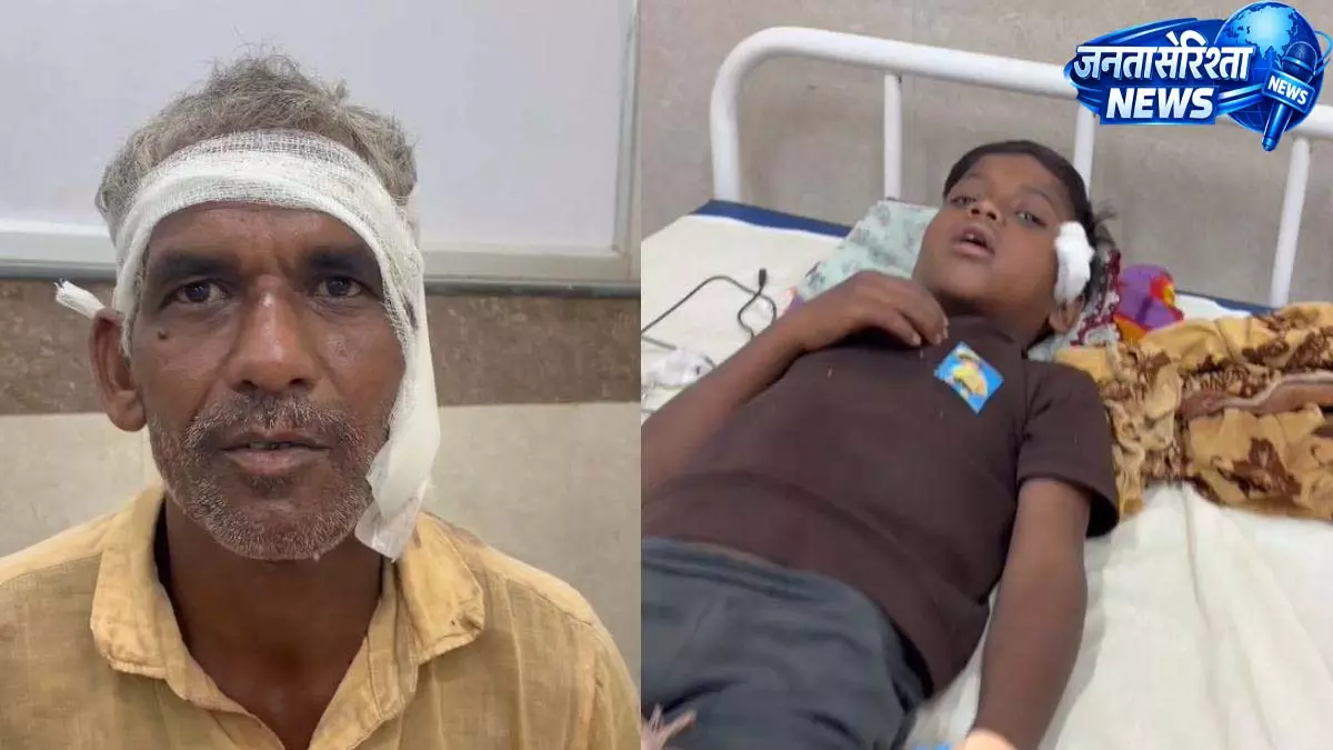 मरवाही में पागल कुत्ते का आतंक, 6 लोग घायल, 3 बच्चे भी शामिल मरवाही में पागल कुत्ते का आतंक, 6 लोग घायल, 3 बच्चे भी शामिल