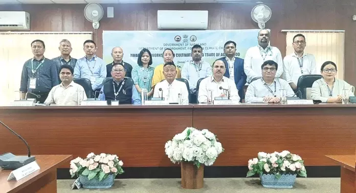 ग्रामीण विकास के लिए नागालैंड का नया फोकस, अगरवुड की खेती को मिलेगा बढ़ावा