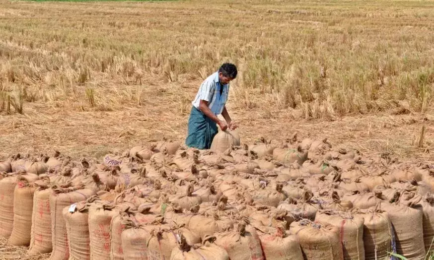 Telangana: खरीफ़ फ़सल की खरीद व्यवस्था में बड़े बदलाव के लिए हाई-लेवल पैनल का गठन Telangana: खरीफ़ फ़सल की खरीद व्यवस्था में बड़े बदलाव के लिए हाई-लेवल पैनल का गठन