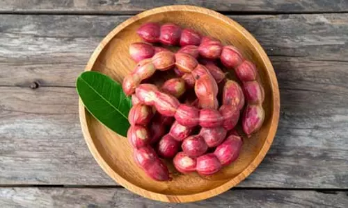 स्वाद और सेहत का खजाना है जंगल जलेबी, जानिए फायदे