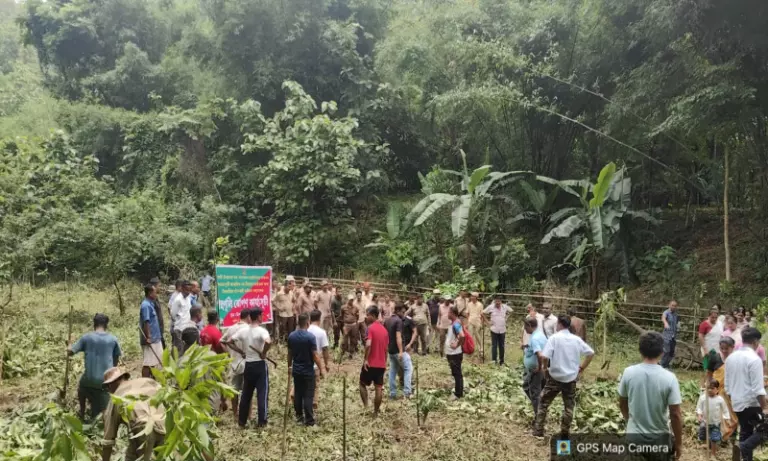 Assam: रिजर्व फॉरेस्ट में पेड़ काटने पर सजा, युवाओं को 5000 पौधे लगाने का आदेश Assam: रिजर्व फॉरेस्ट में पेड़ काटने पर सजा, युवाओं को 5000 पौधे लगाने का आदेश