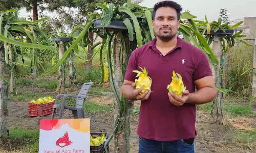 वकालत से किसान बने Ludhiana के व्यक्ति की कहानी वकालत से किसान बने Ludhiana के व्यक्ति की कहानी