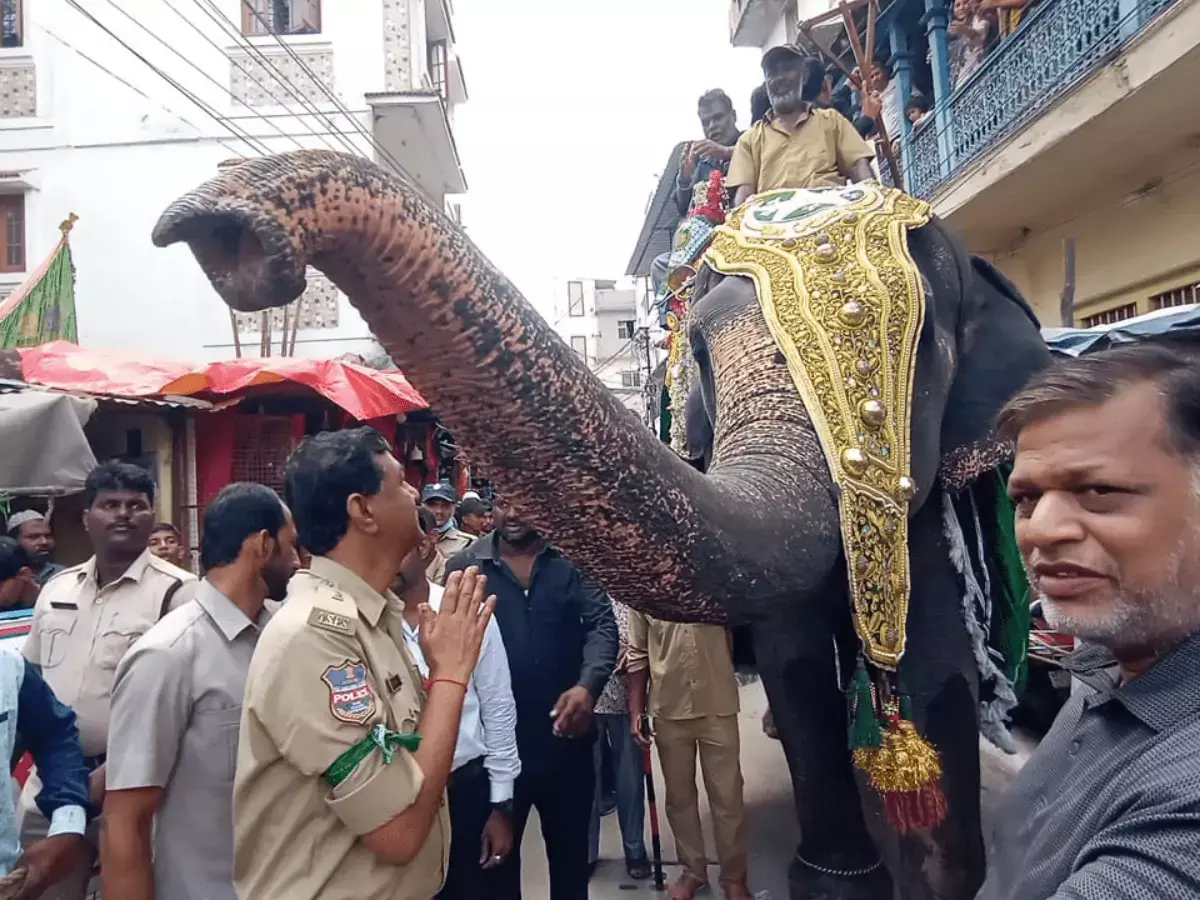 Hyderabad के ऐतिहासिक जुलूस में श्रीदेवी होगी मुख्य आकर्षण, धार्मिक परंपरा में शामिल Hyderabad के ऐतिहासिक जुलूस में श्रीदेवी होगी मुख्य आकर्षण, धार्मिक परंपरा में शामिल