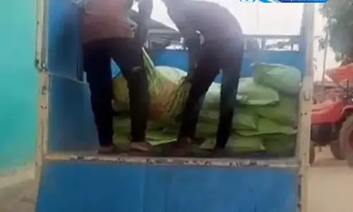 पिकअप को कृषि विभाग ने पकड़ा, 52 बोरी डीएपी खाद जब्त पिकअप को कृषि विभाग ने पकड़ा, 52 बोरी डीएपी खाद जब्त