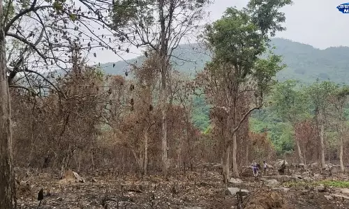 Odisha : गजपति रिज़र्व फॉरेस्ट में अवैध कटाई और आगजनी, जांच की मांग तेज Odisha : गजपति रिज़र्व फॉरेस्ट में अवैध कटाई और आगजनी, जांच की मांग तेज