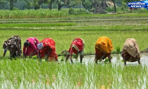 Karnataka : मानसून की देरी से बुवाई प्रभावित, पैदावार पर असर की आशंका