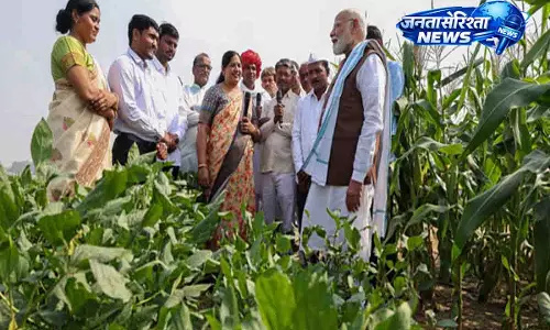सोलर-पावर्ड खेती को पीएम मोदी ने अफ्रीका के लिए उपयोगी मॉडल बताया सोलर-पावर्ड खेती को पीएम मोदी ने अफ्रीका के लिए उपयोगी मॉडल बताया
