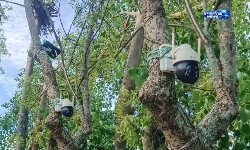 चीरानी इलाके में बाघ के खतरे के बीच CCTV कैमरे लगाए गए चीरानी इलाके में बाघ के खतरे के बीच CCTV कैमरे लगाए गए
